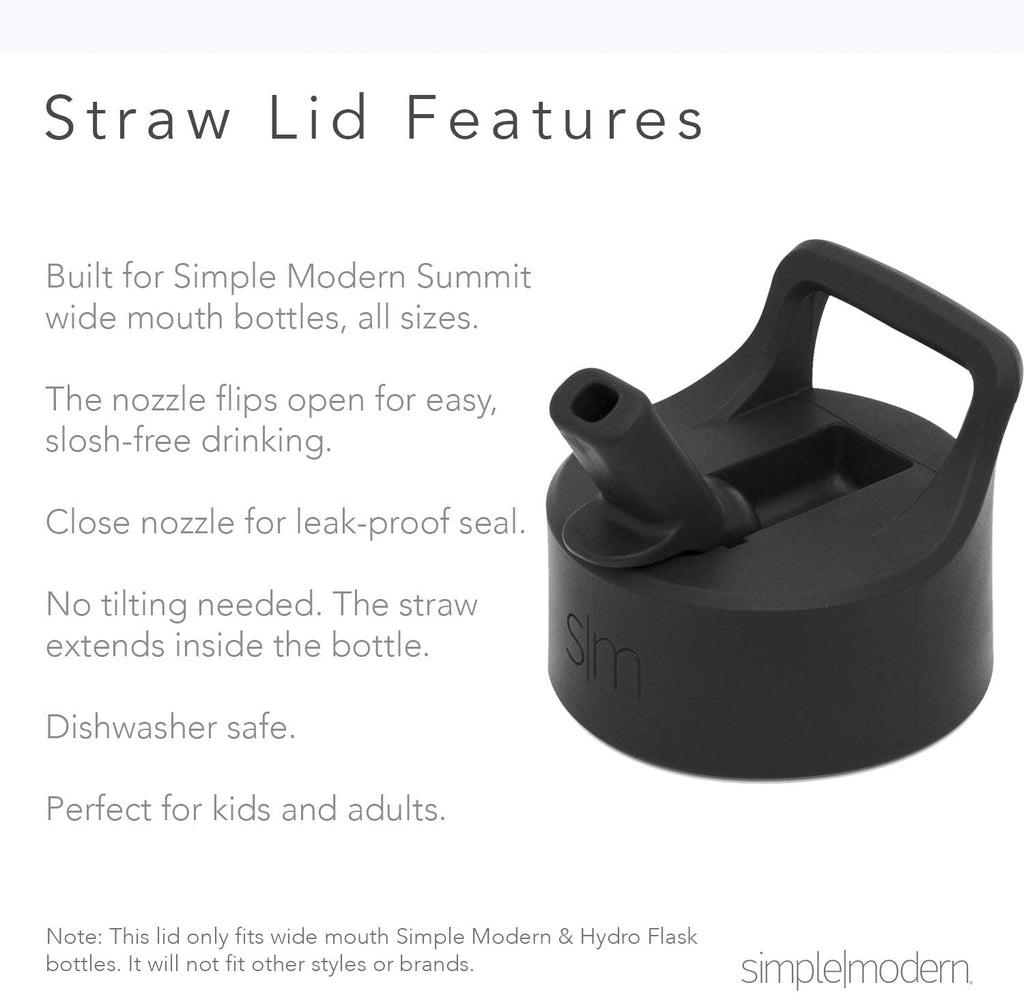 Simple Modern Summit 32oz Stainless Steel Water Bottle with Straw Lid  Seaside